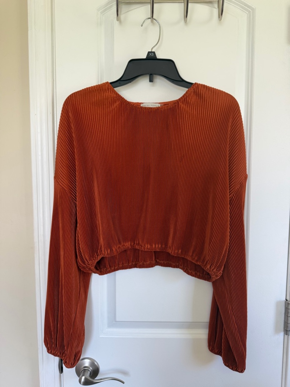 Dress Forum Rust Pleated Cropped Long-Sleeve Top